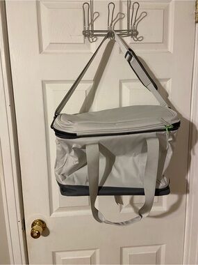 Amari & Ash Light Gray Travel Cooler Bag with Shoulder Strap 16” 30